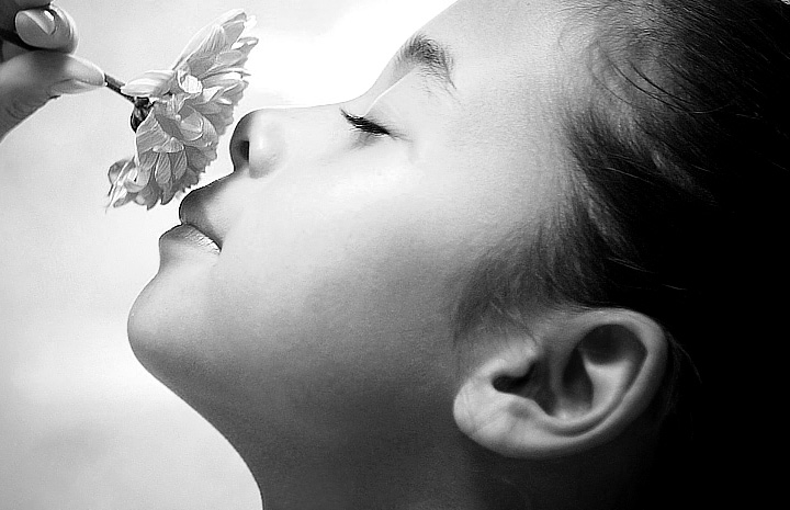 免费ddos攻击网页端